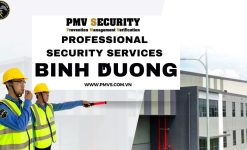 Professional security services In Binh Duong